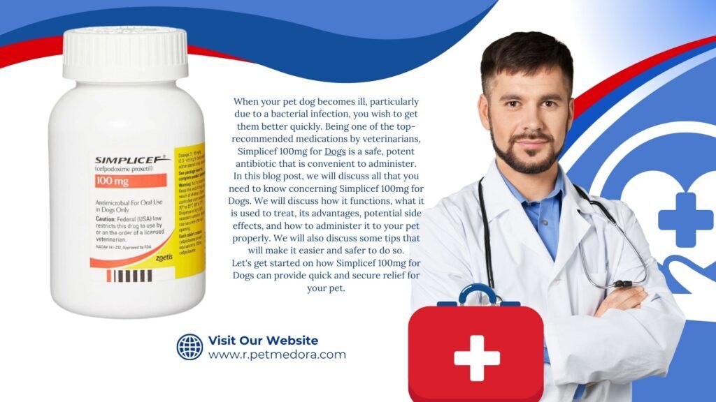 Simplicef 100mg for Dogs